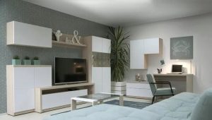 White wall in the living room: features, varieties, choices, examples