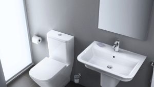 Rimless floor-standing toilets: device, pros and cons, choice