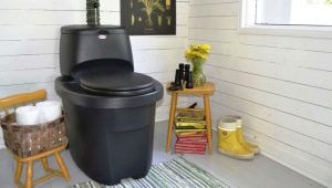 Country toilets: how to choose and properly care for?