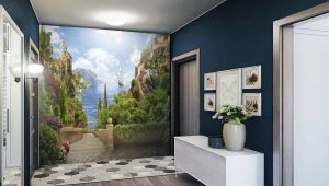 Wall murals in the hallway: choice and options in the interior