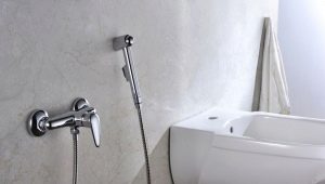 Hygienic shower with mixer: varieties, brands and selection