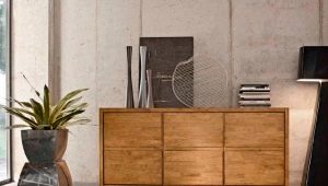 Chests of drawers in the living room: varieties and tips for choosing