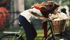 Paniers pour chiens à vélo: variétés, caractéristiques de choix