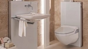Small toilets: what are they and how to choose?