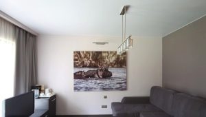 Matte stretch ceilings for the hall: types, selection, examples