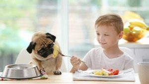 Can potatoes be given to dogs and what are the restrictions?
