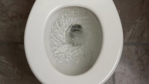 Overview of types of flush toilets