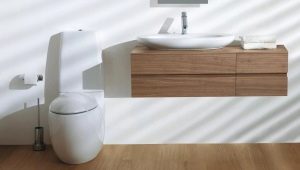 Features and variety of models of Laufen toilet bowls