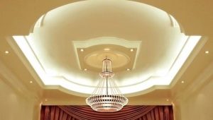 Plasterboard ceilings for the hall: varieties, choice, interesting solutions