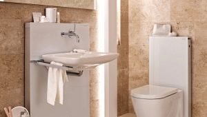 Sink to the toilet: varieties and recommendations for choosing