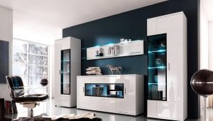 Wardrobe-wall in the living room: an overview of types and recommendations for choosing