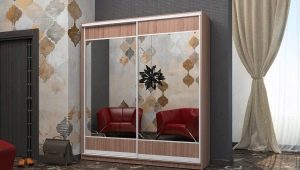 Wardrobes with a mirror in the hallway: types and choices