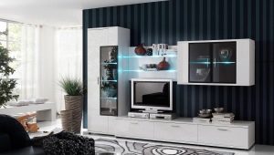Modern walls in the living room: types, choices and options in the interior