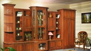 Wall in the living room without a TV niche: pros and cons, choice and placement