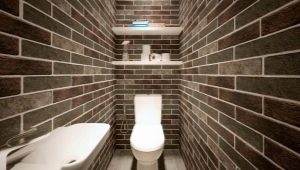 Loft-style toilet: design guidelines and beautiful examples