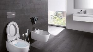 Keramag toilets: model range, features and characteristics