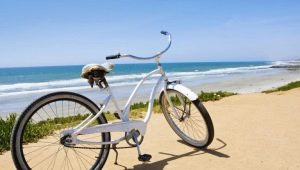 Bicycle cruiser: description and selection