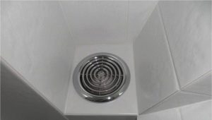 Fans in the toilet: an overview of types and manufacturers, tips for choosing