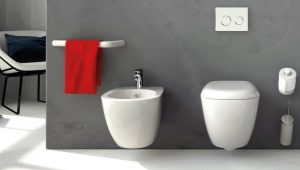 Types of toilets by bowl: what are there and how to choose?