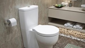 Toilet bowl height: norms and standards