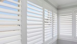 Blinds on the balcony: varieties, selection, care, examples