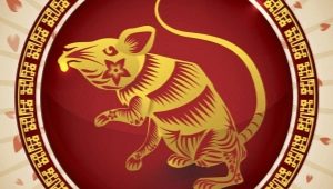 2020 - the year of what animal and what is typical for it?