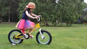Roues latérales de vélo : comment choisir et installer ?