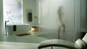 Shower cabins with a steam generator: what are they and how to choose?