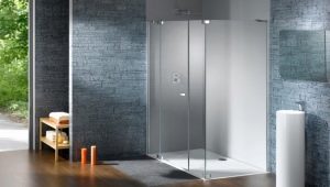 Shower cabins with a swing door: varieties, selection, installation