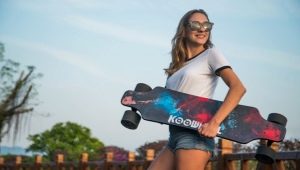 Electrolongboards: varieties and subtleties of choice