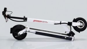 Electric scooters Speedway: description of models and tips for use
