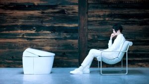How to choose the right toilet?