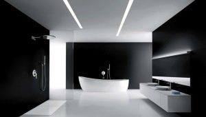 Bathroom decoration in the style of minimalism