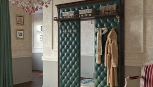 Hallway with a carriage coupler: features, design options