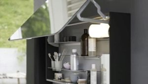 Wardrobes with a mirror in the bathroom: types and choices