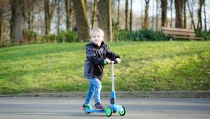 Three-wheeled scooters: types, rating of the best models and selection criteria