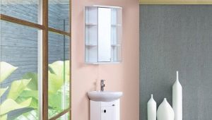 Corner pencil cases in the bathroom: types and choices