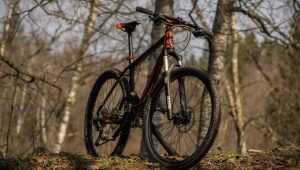 KTM bicycles: models, recommendations for selection