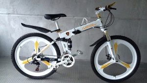 Lamborghini bicycles: pros, cons and lineup