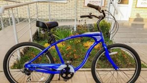 Schwinn bicycles: model description and selection criteria
