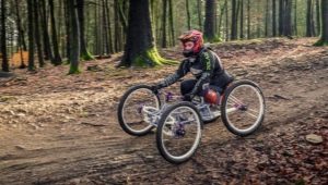 Adult four-wheeled bicycles