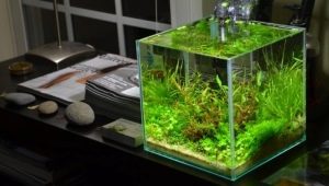 Aquarium-cubes: features, sizes and design rules
