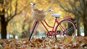 Budget bike review and tips for choosing them