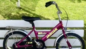 Jaguar bicycles: model overview and selection secrets