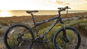 Smart bicycles: characteristics, models, tips for choosing