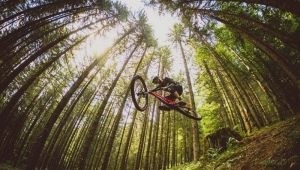 Bicycle weight: what is it and what does it depend on?