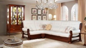 Avangard sofas: features and assortment