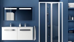 Ravak shower doors and fences: features and secrets of choice