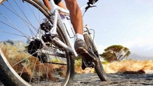 How to choose the diameter of the bicycle wheels by height?