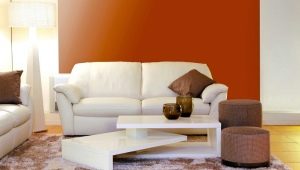 How to choose a comfortable and beautiful sleeping sofa?